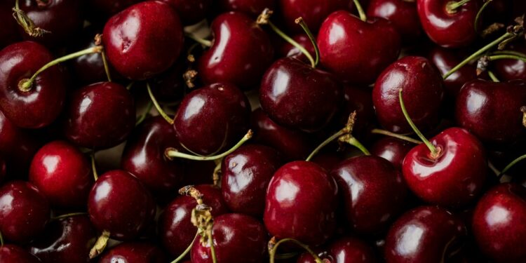 We Need to Find Our Way to Foods That Fight Disease