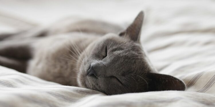 We’re Beyond Tired; We’re Sleep Deprived