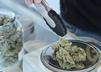 Cannabis Now Tops Alcohol as Daily Drug of Choice