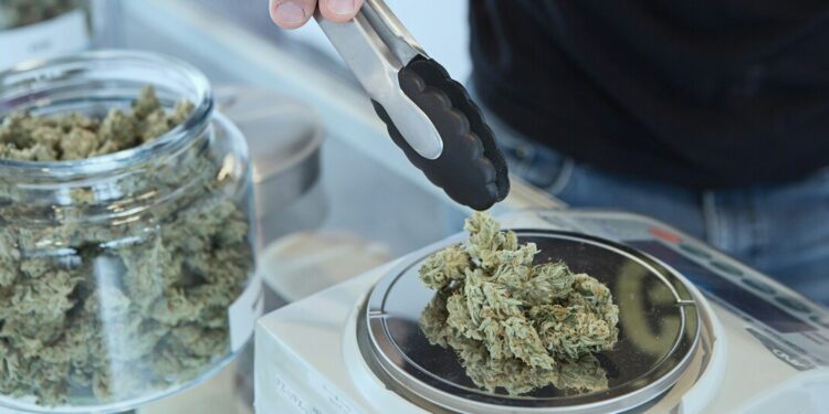 Cannabis Now Tops Alcohol as Daily Drug of Choice