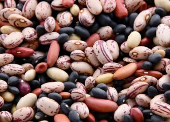 The Things We’ll Try to Reinforce Healthy Eating