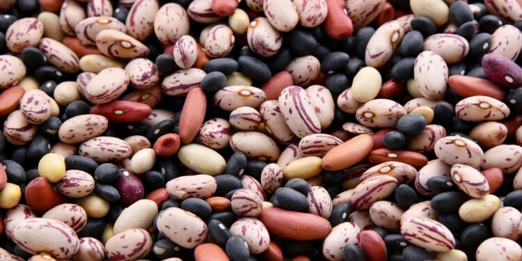 The Things We’ll Try to Reinforce Healthy Eating