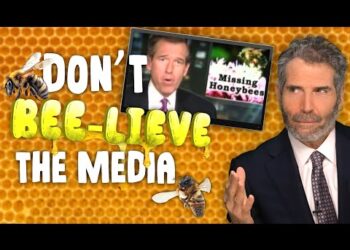 The Bee-pocalypse: Another Scare Story the Media Got Wrong