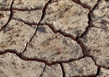 Travel Advisory: Don’t Underestimate the Threat of Extreme Heat