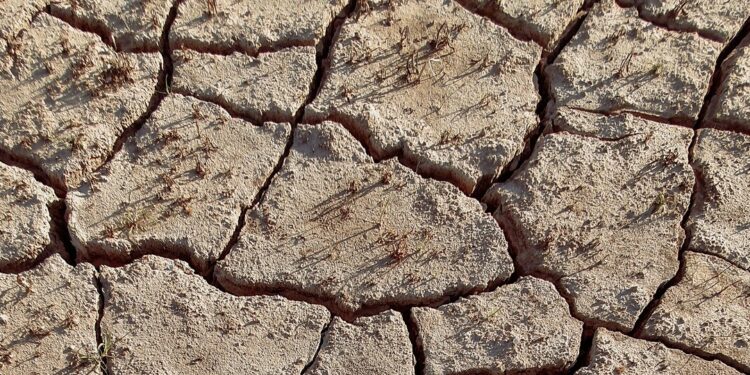 Travel Advisory: Don’t Underestimate the Threat of Extreme Heat