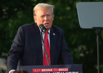 Sue New York: An Open Letter To State Attorneys General