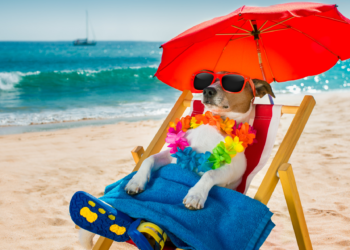 Historic temperature data cools down heatwave exaggeration