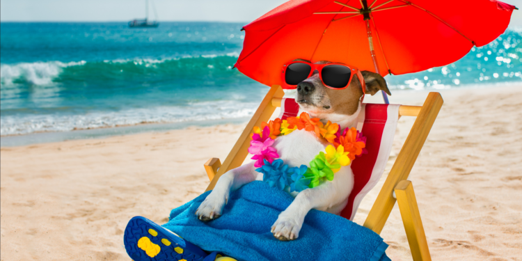 Historic temperature data cools down heatwave exaggeration