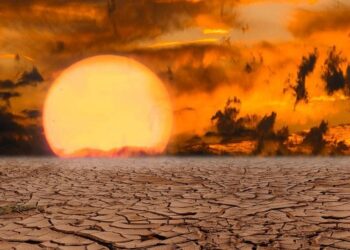 Extreme Global Hunger: The UN Warns That Some Of The Poorest Areas Of The World Have “Zero Harvests” Left
