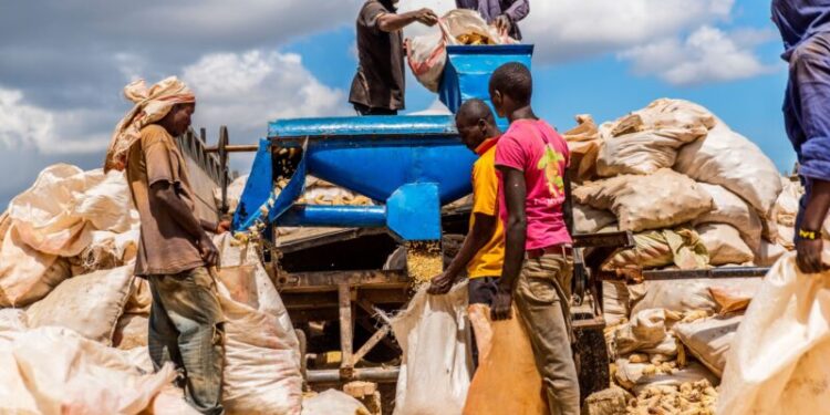 How Nations Defeat Poverty