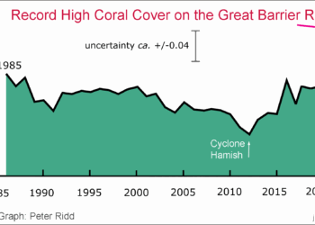 After a trillion tons of CO2, the Great Barrier Reef hits record coral cover third year in a row