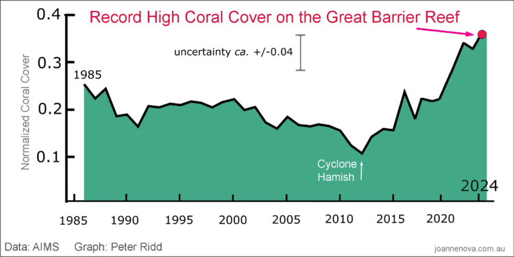 After a trillion tons of CO2, the Great Barrier Reef hits record coral cover third year in a row