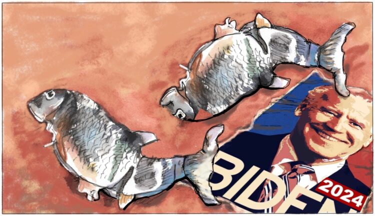 Flip Flop