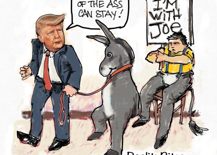 Ass-sits
