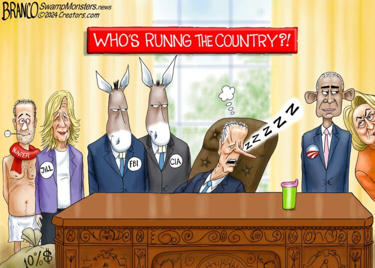 Shadow Government