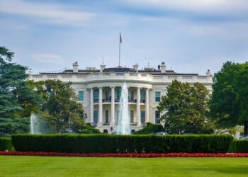 Government and Freedom