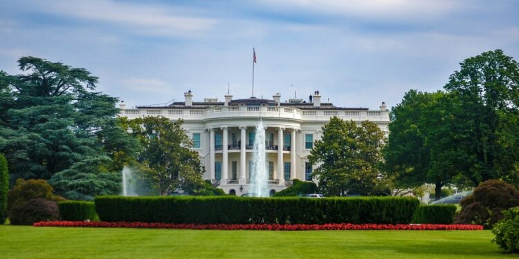 Government and Freedom