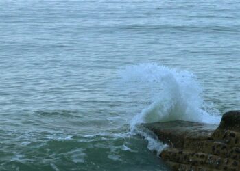 The Many Unrecognized Impacts of Trauma