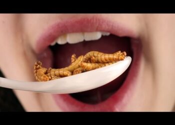 Is it ethical to recommend eating bugs?