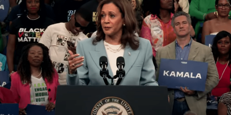 Most Americans ‘Never’ Agree With Kamala Harris On Most Political Issues, So Conservatives Should Focus Exposing Her Radical Ideology