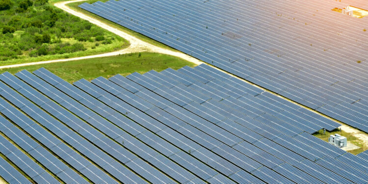Can American conservation survive ‘Green’ energy?