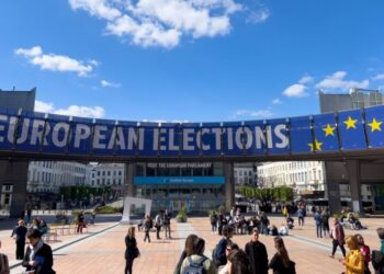 Lessons from the European Legislative Elections