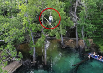 Just Like This Guy, Our Country Can Only Go Out On A Limb So Far Before It Finally Snaps