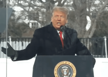 Supreme Court rules presidents including Trump have absolute immunity for exercising constitutional powers and presumptive immunity for official acts, kicks case back to lower courts