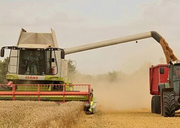 Waging war on modern agriculture and global nutrition