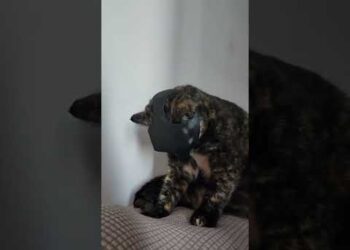 He Accepted His Destiny