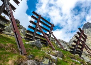 Public Goods in a Free Society