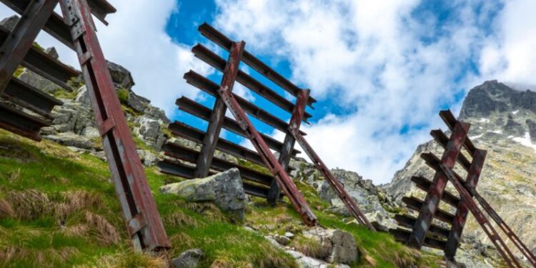 Public Goods in a Free Society