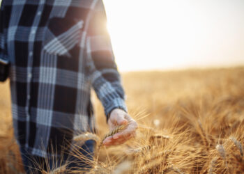 Who is directing the war on agriculture and nutrition?