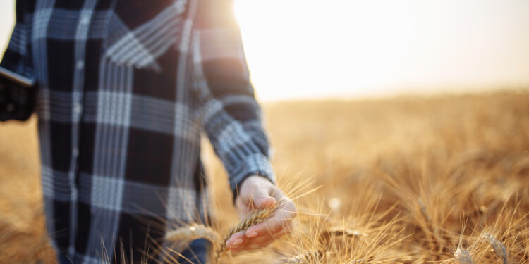 Who is directing the war on agriculture and nutrition?