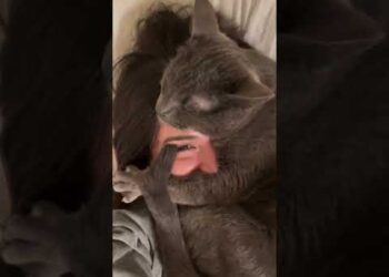 She’s Lucky to be Alive