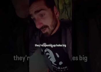 Don’t Go Camping in the Jungle