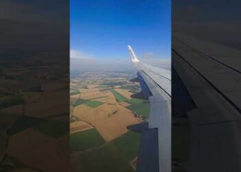 Insane Phone Camera Zoom