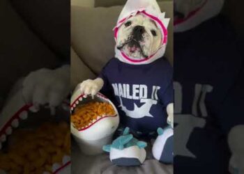 He’s Ready for Anything