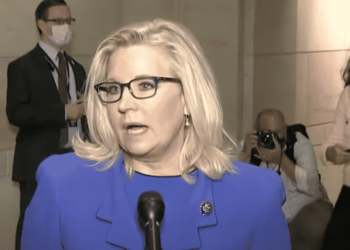 Time for Never Trumpers to Drop their Conservative Charade