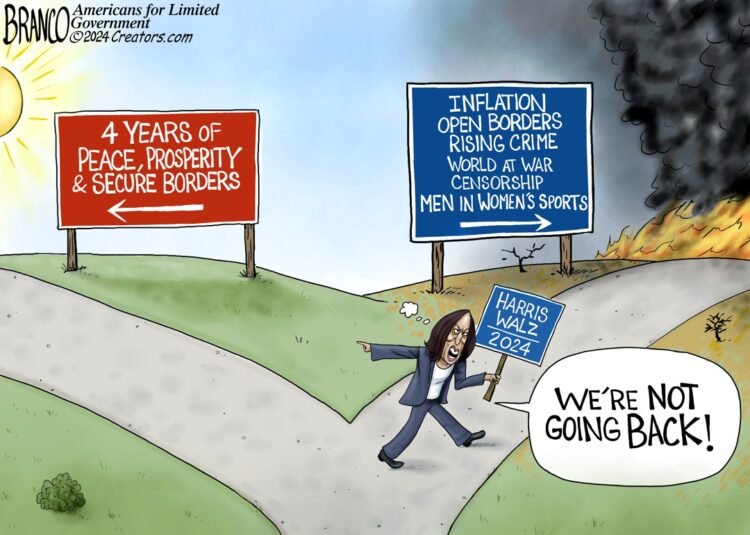 New Way Backwards