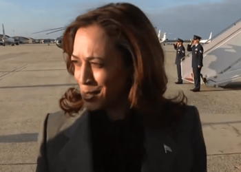 As consumer confidence collapses, so does Kamala Harris’ economic message as Vice President begs for another debate