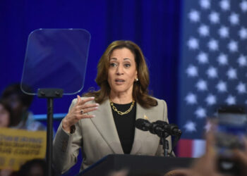 The Greed Theory of Inflation and the Cowardice of Economists