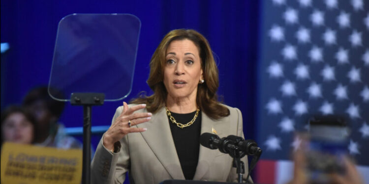 The Greed Theory of Inflation and the Cowardice of Economists