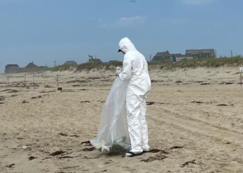 Looming ‘clean’ energy disasters off our coasts