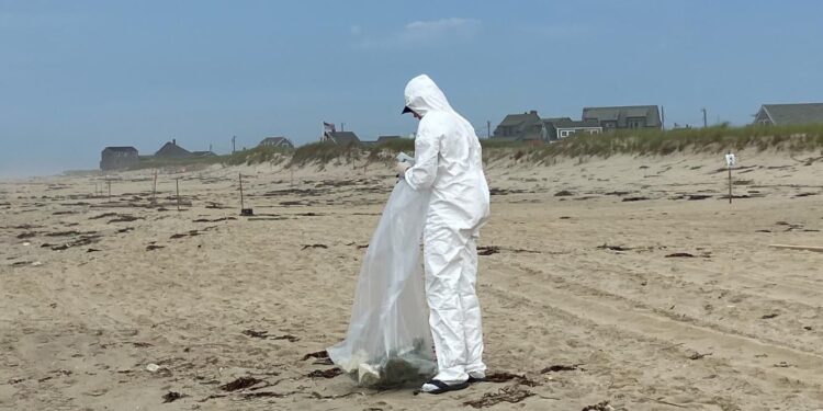 Looming ‘clean’ energy disasters off our coasts