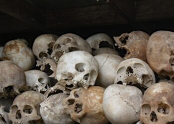 The Dangerous Reinterpretation of Freedom 