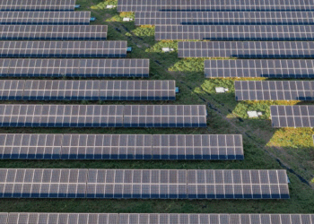 The CEO of WWF is paid up to a million dollars to save “nature”