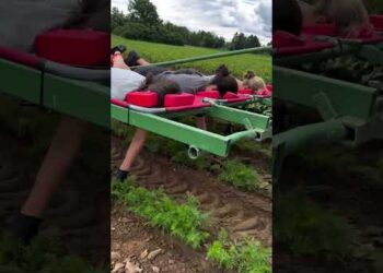 Working Smarter Instead of Harder