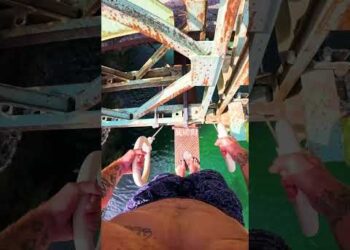 How to Lose Your Shoulders