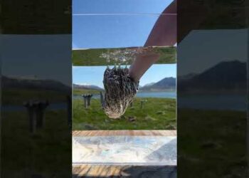 Hydrophobic Feathers